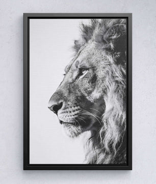 Silent Strength – Lion Portrait