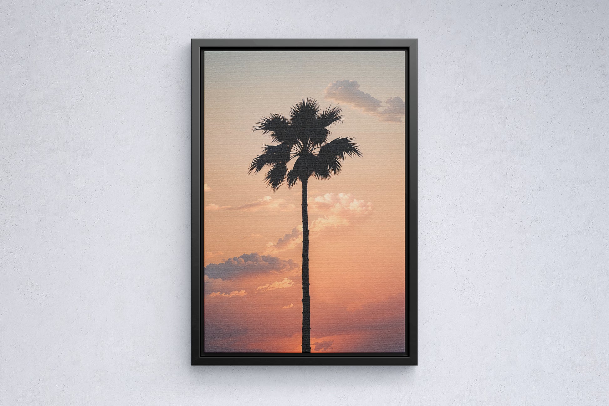 Lone Palm at Sunset