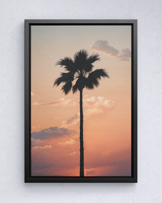 Eenzame palm bij zonsondergang
