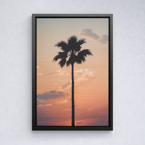 Lone Palm at Sunset