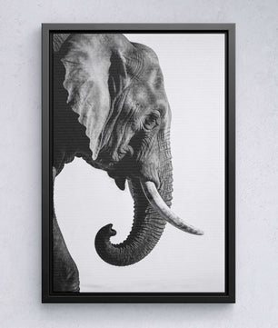 Gentle Power – Elephant Portrait
