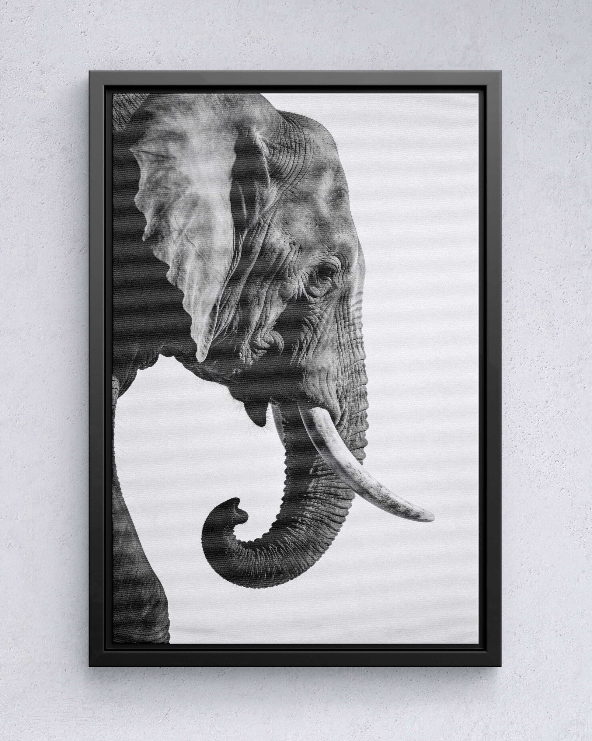 Gentle Power – Elephant Portrait