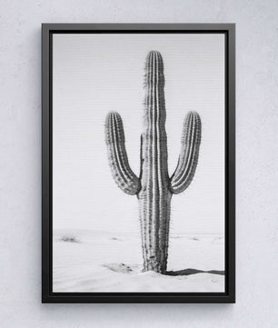 Silent Lines – Cactus