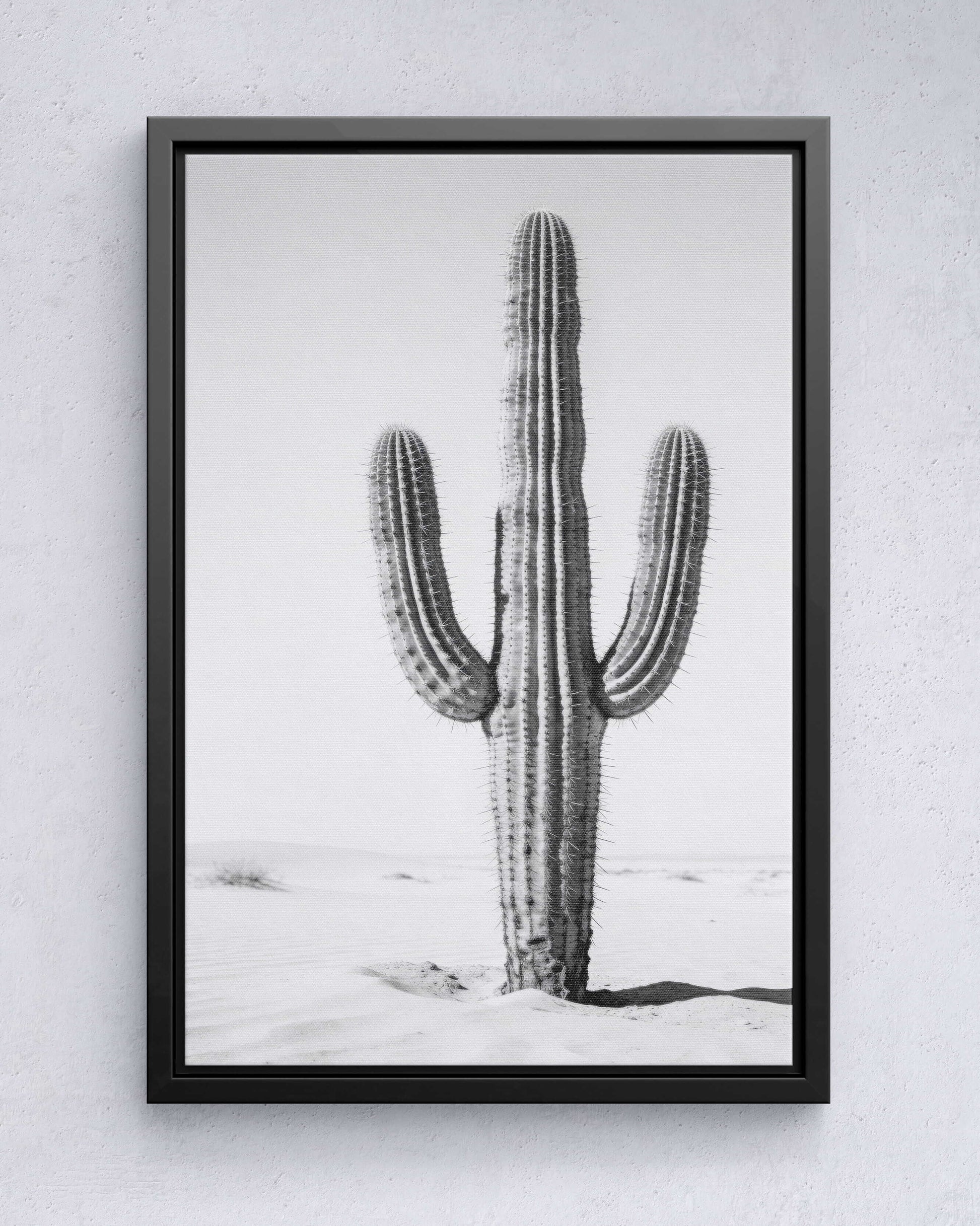 Silent Lines – Cactus