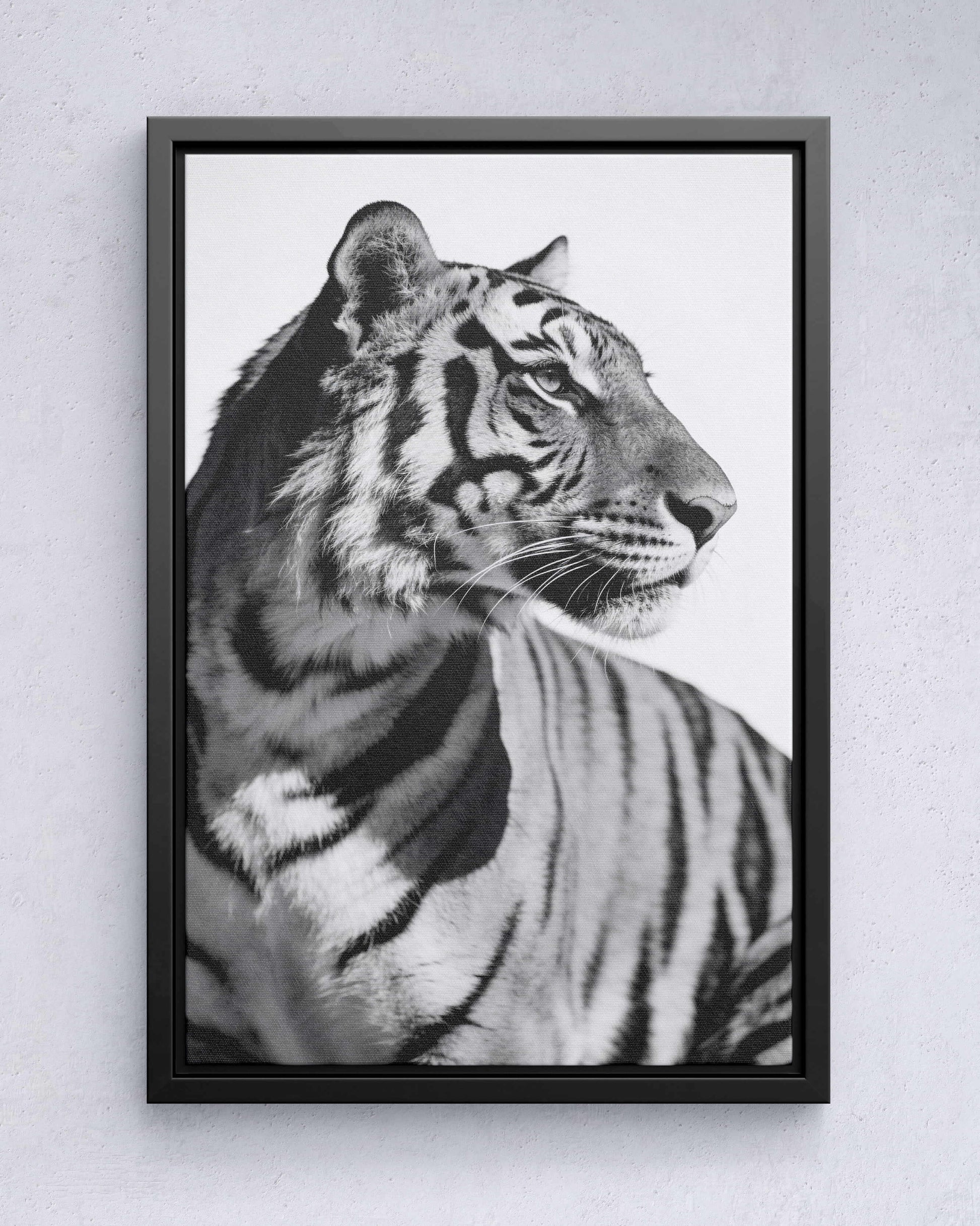 Focused Power – Tiger Form