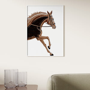 Equestrian Elegance