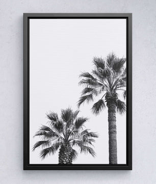 Palm Silence – Minimal Nature