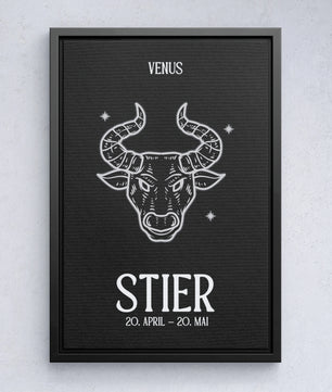 Stier - black&white