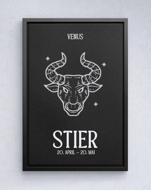 Stier - black&white