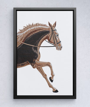 Paardensport elegantie