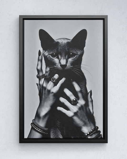 Kattenkat