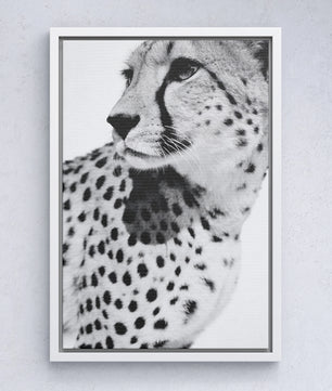 Gepard Porträt – Schwarz Weiß Fine Art
