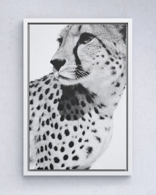 Gepard Porträt – Schwarz Weiß Fine Art