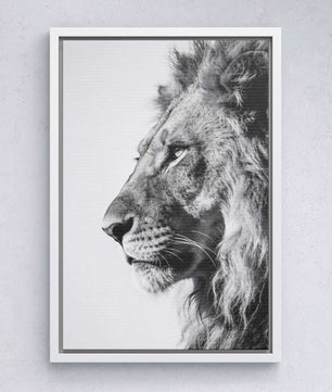 Silent Strength – Lion Portrait