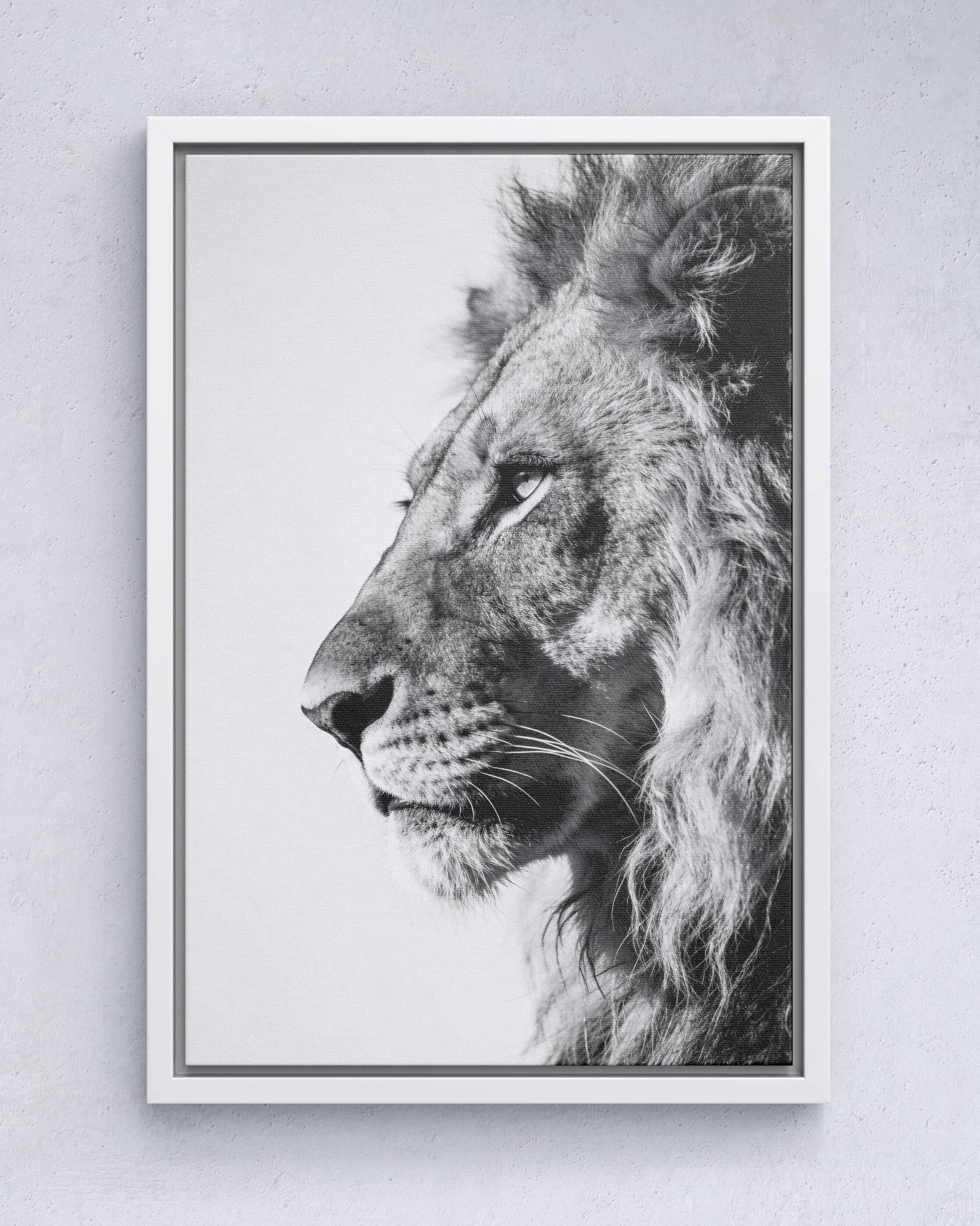 Silent Strength – Lion Portrait