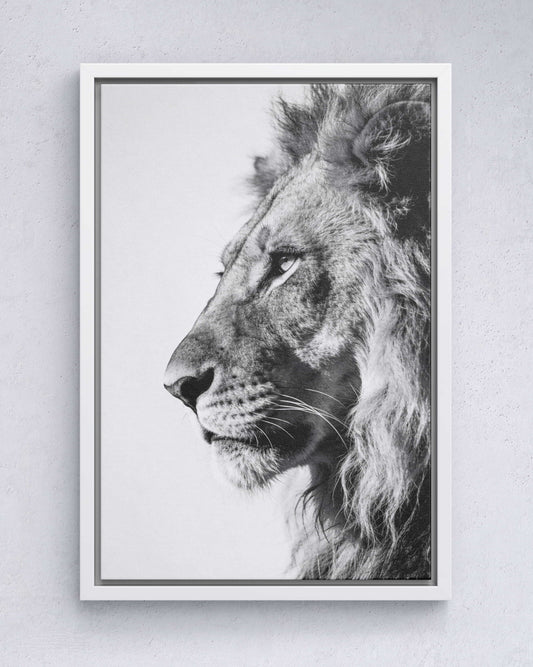 Silent Strength – Lion Portrait