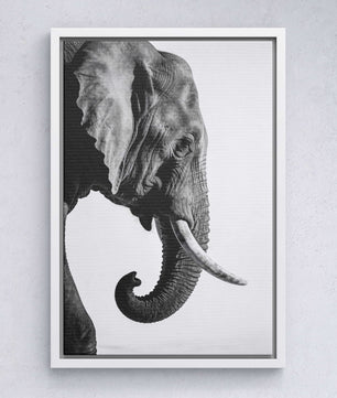 Gentle Power – Elephant Portrait