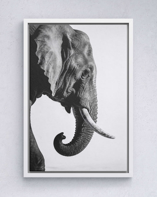 Gentle Power – Elephant Portrait