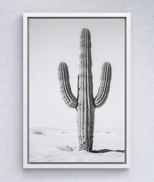 Silent Lines – Cactus