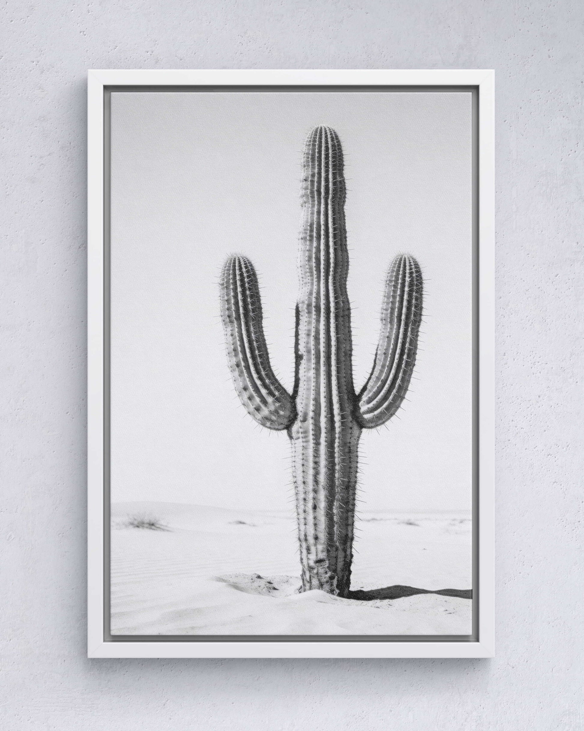 Silent Lines – Cactus