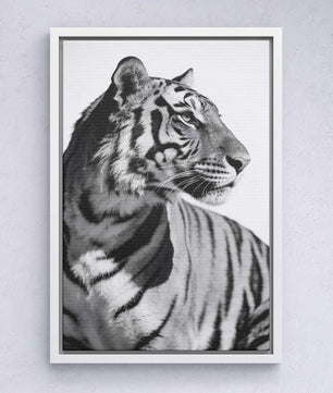 Focused Power – Tiger Form