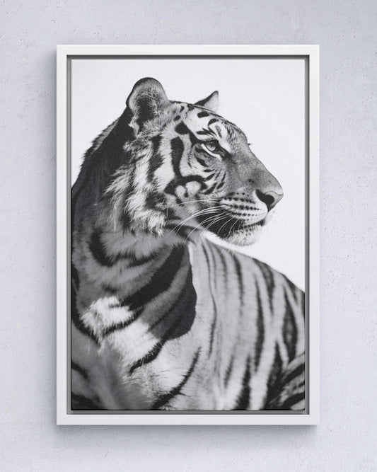 Focused Power – Tiger Form