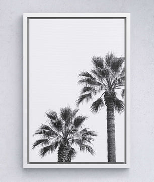 Palm Silence – Minimal Nature