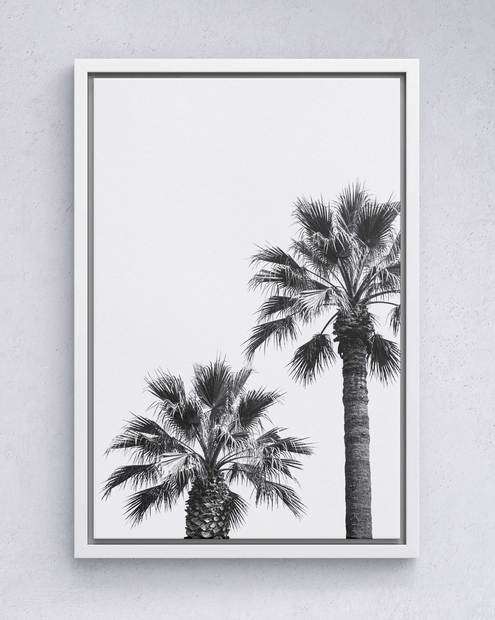 Palm Silence – Minimal Nature