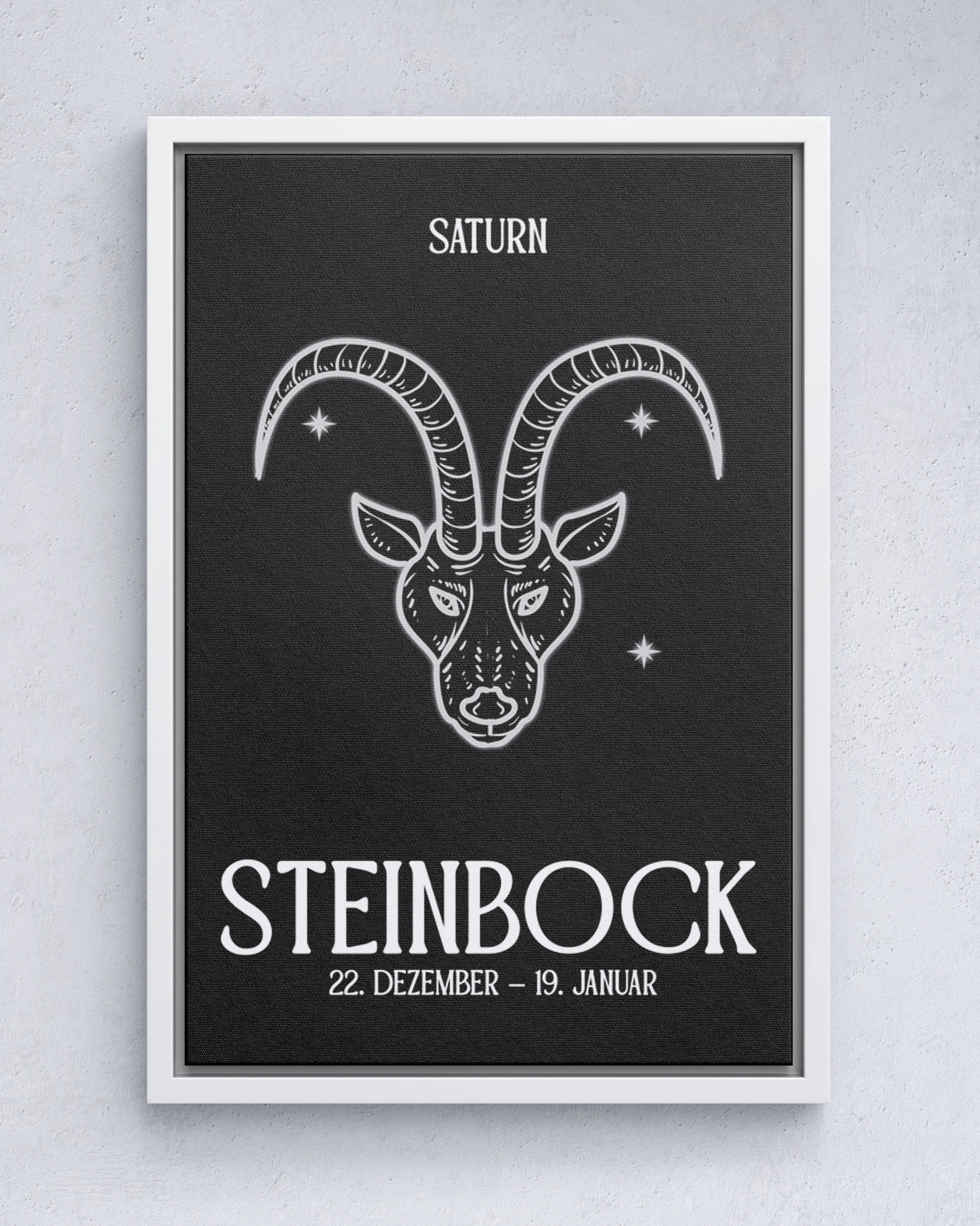 Steinbock - black&white