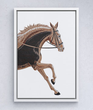 Paardensport elegantie