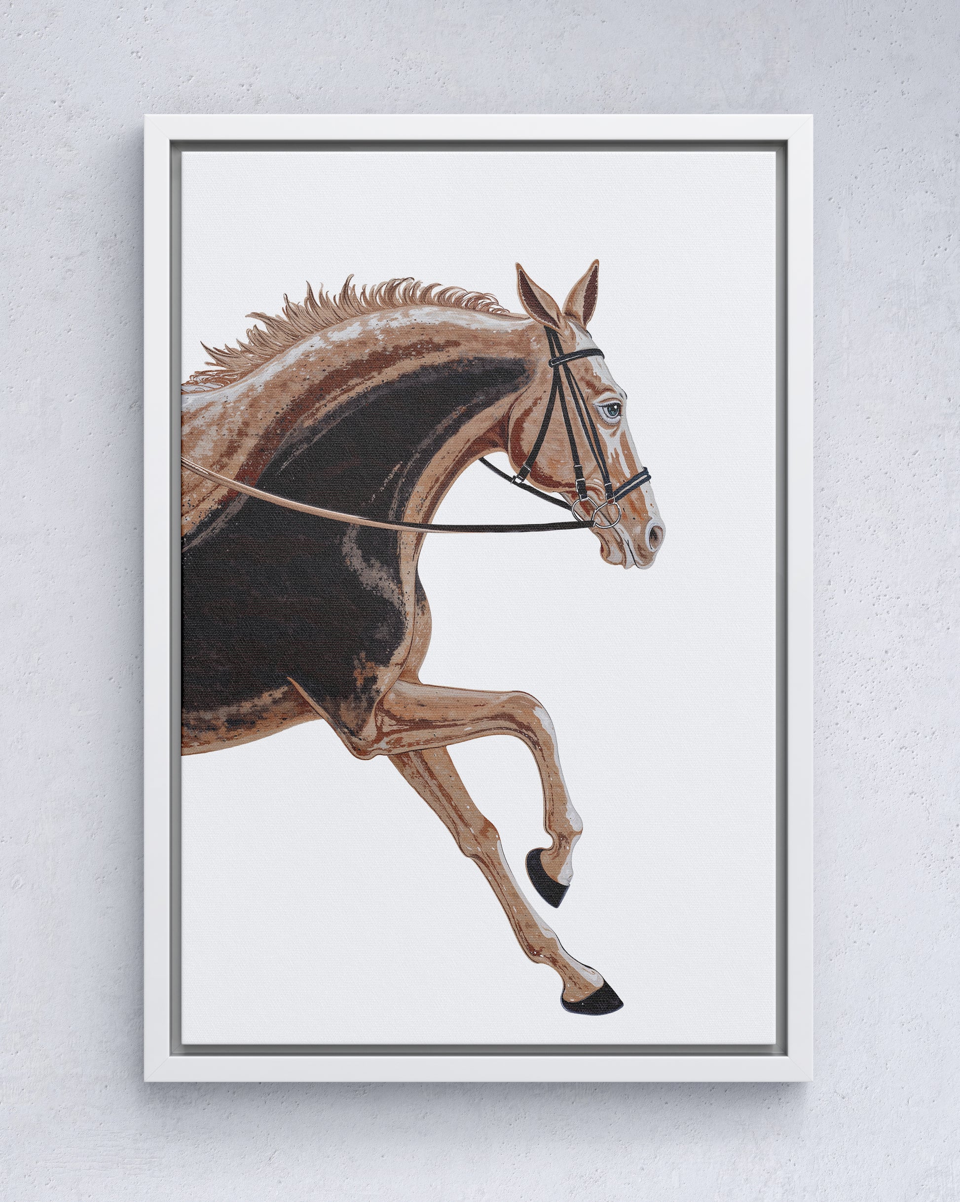 Equestrian Elegance