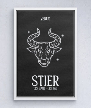 Stier - black&white