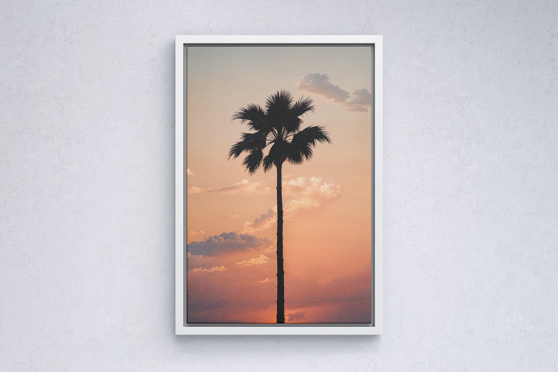 Lone Palm at Sunset