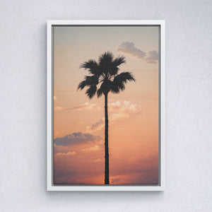 Lone Palm at Sunset