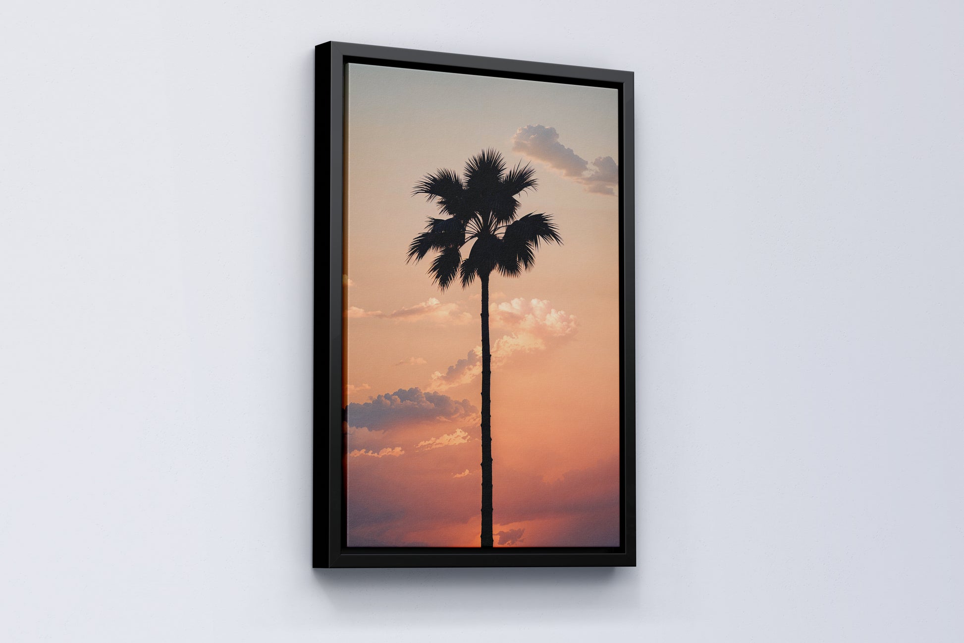 Lone Palm at Sunset