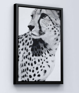 Gepard Porträt – Schwarz Weiß Fine Art