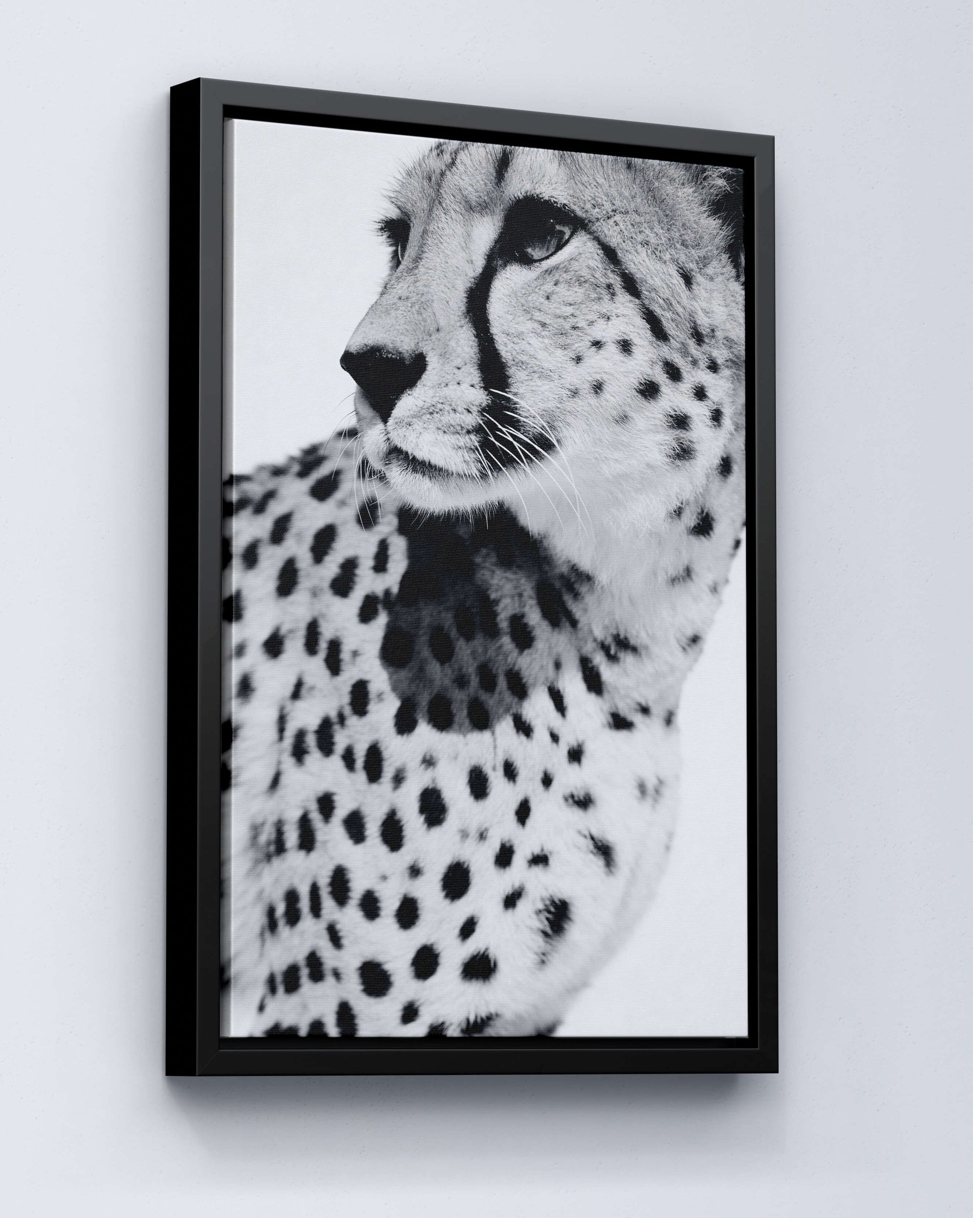 Gepard Porträt – Schwarz Weiß Fine Art