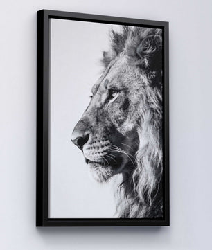 Silent Strength – Lion Portrait
