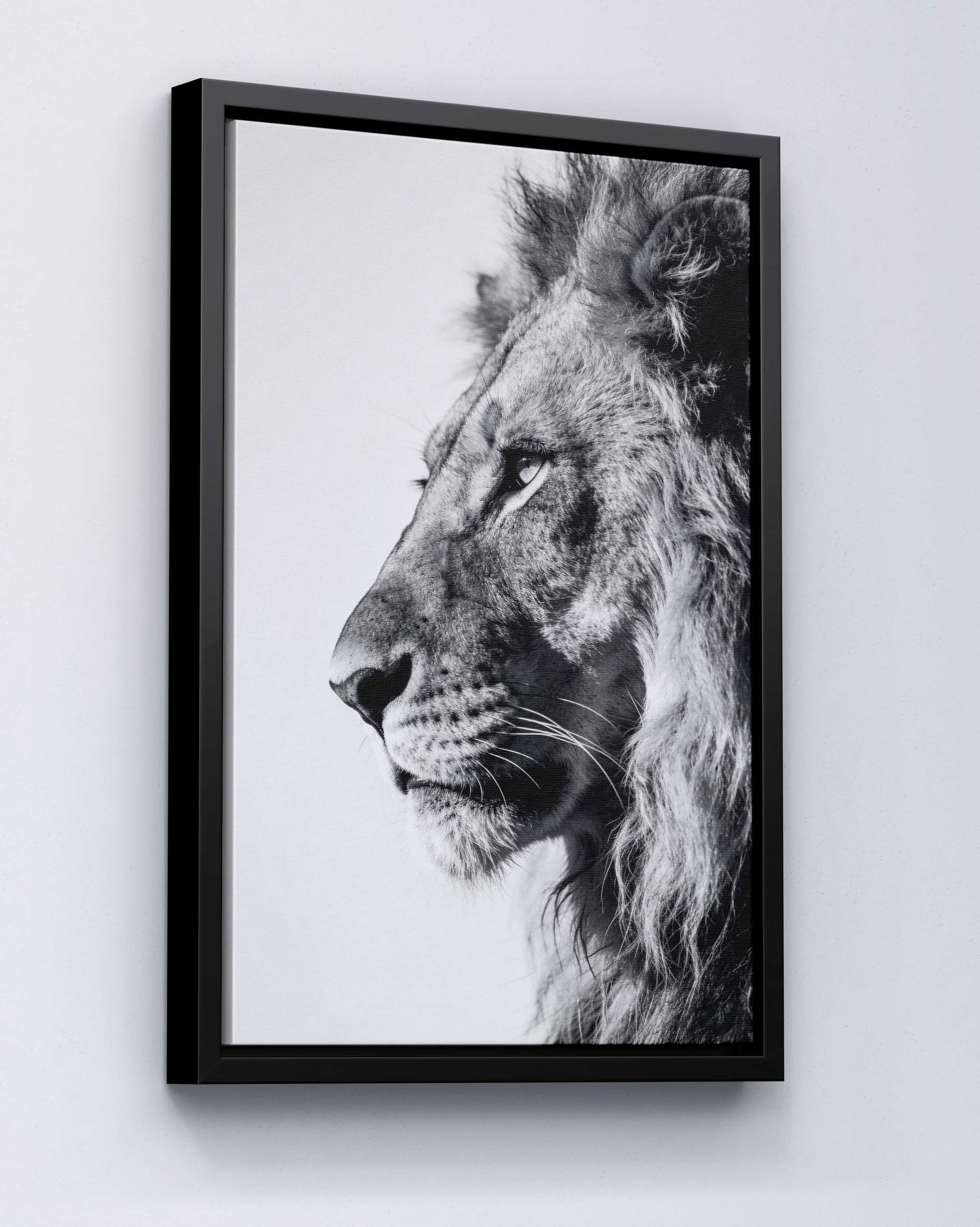 Silent Strength – Lion Portrait