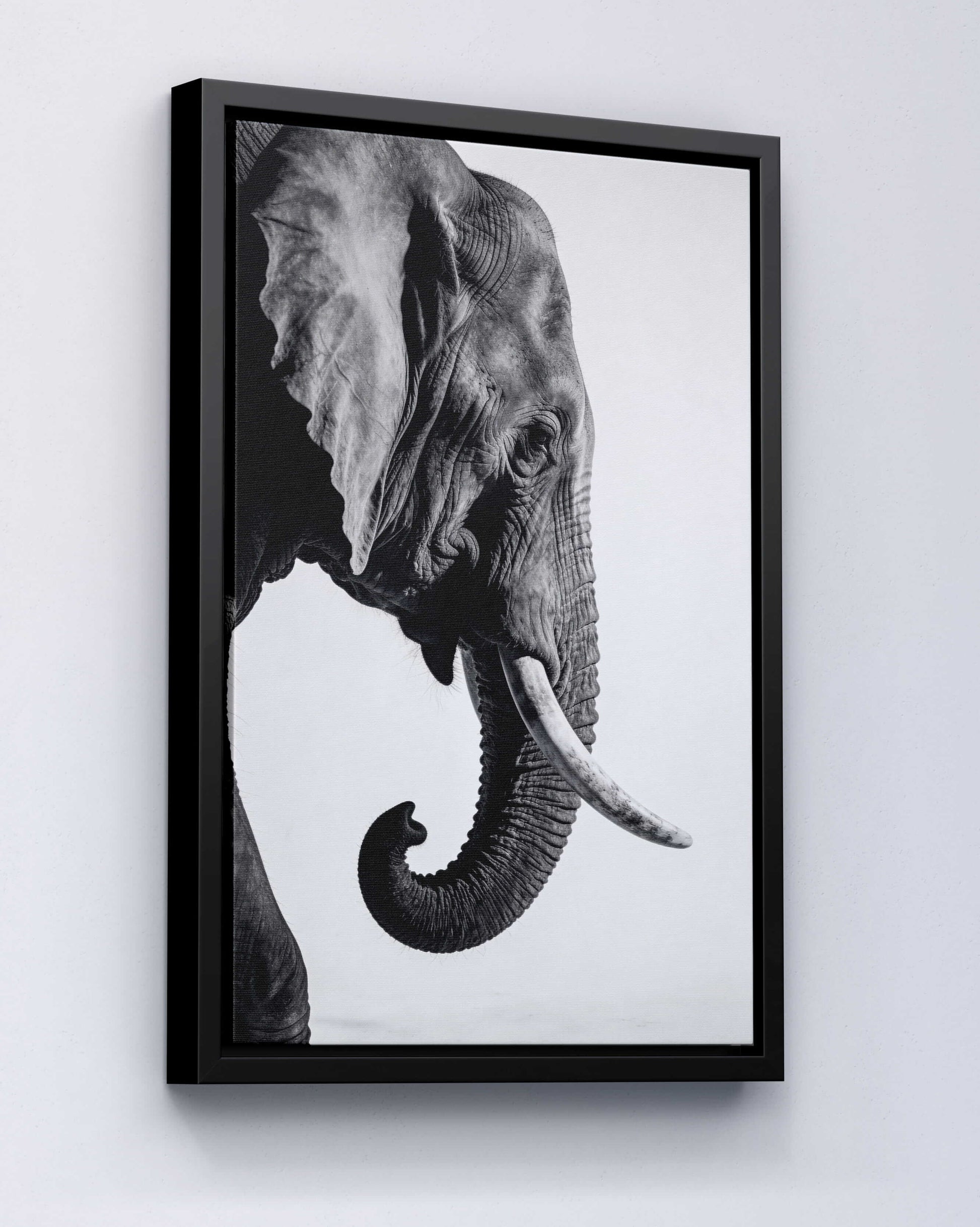 Gentle Power – Elephant Portrait