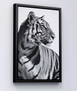 Focused Power – Tiger Form