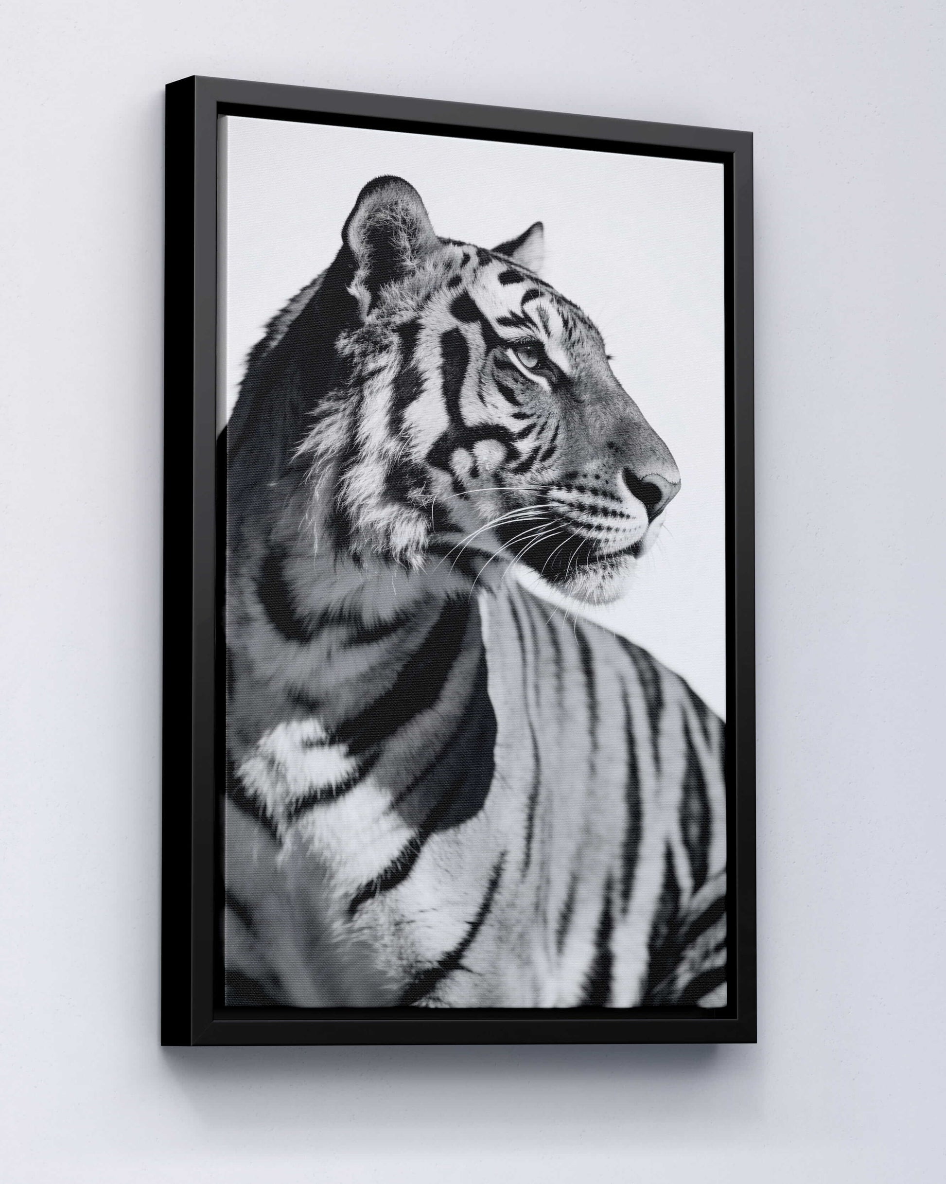 Focused Power – Tiger Form