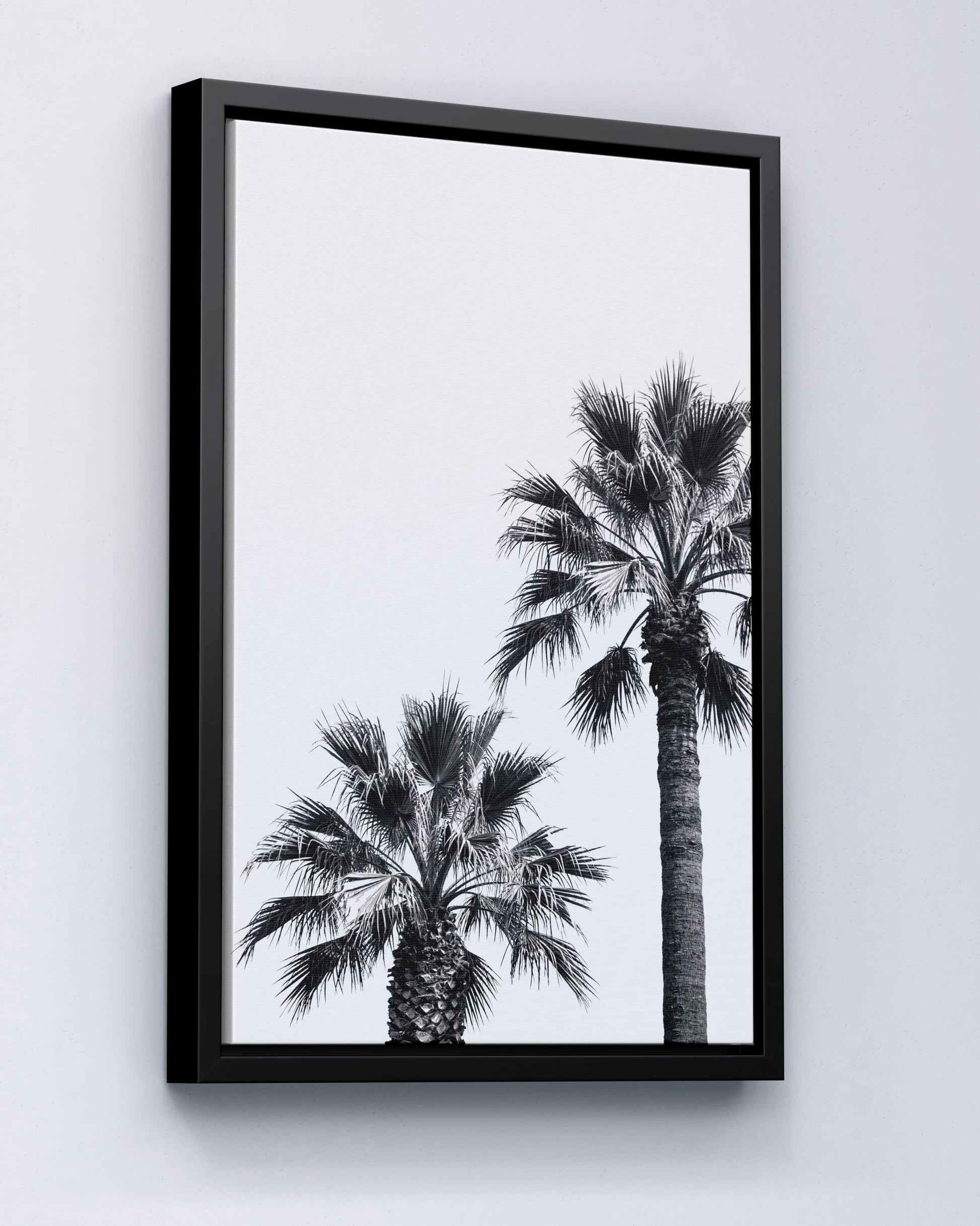 Palm Silence – Minimal Nature