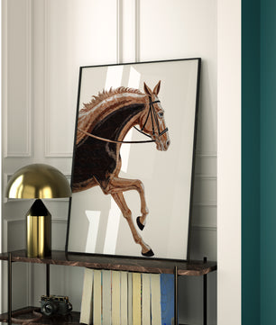Paardensport elegantie