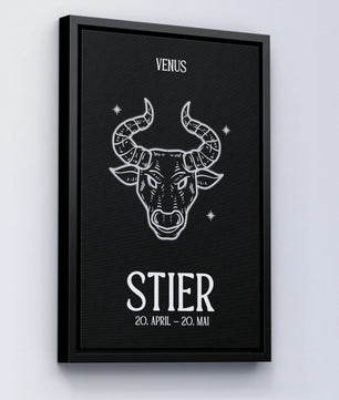 Stier - black&white