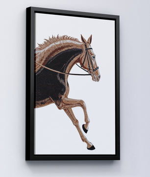 Paardensport elegantie