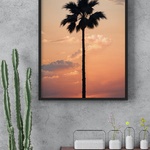 Lone Palm at Sunset