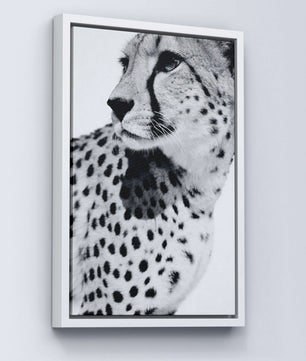 Gepard Porträt – Schwarz Weiß Fine Art