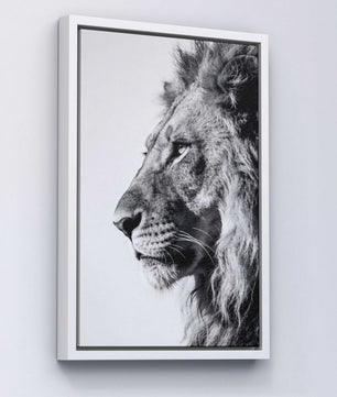 Silent Strength – Lion Portrait