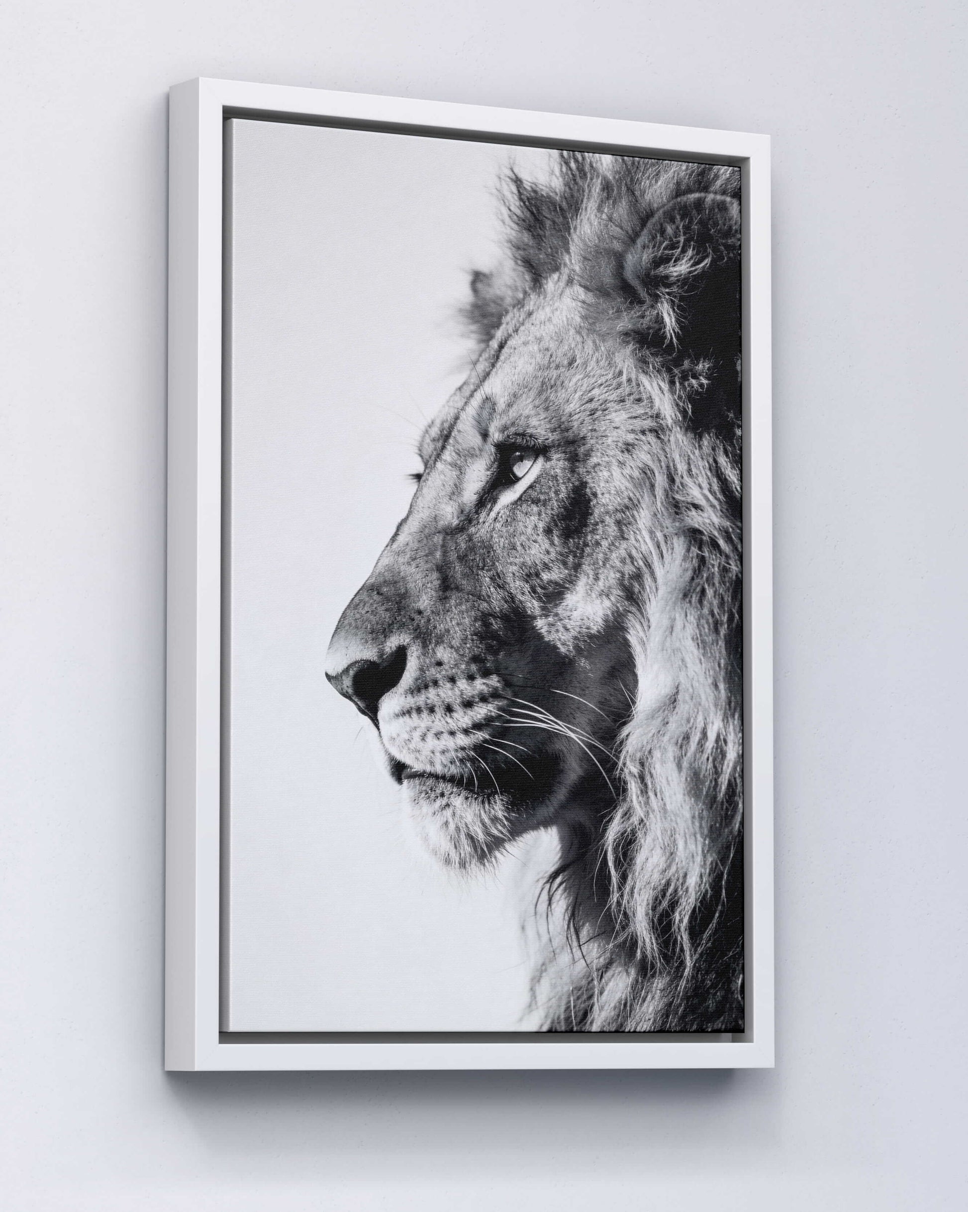 Silent Strength – Lion Portrait